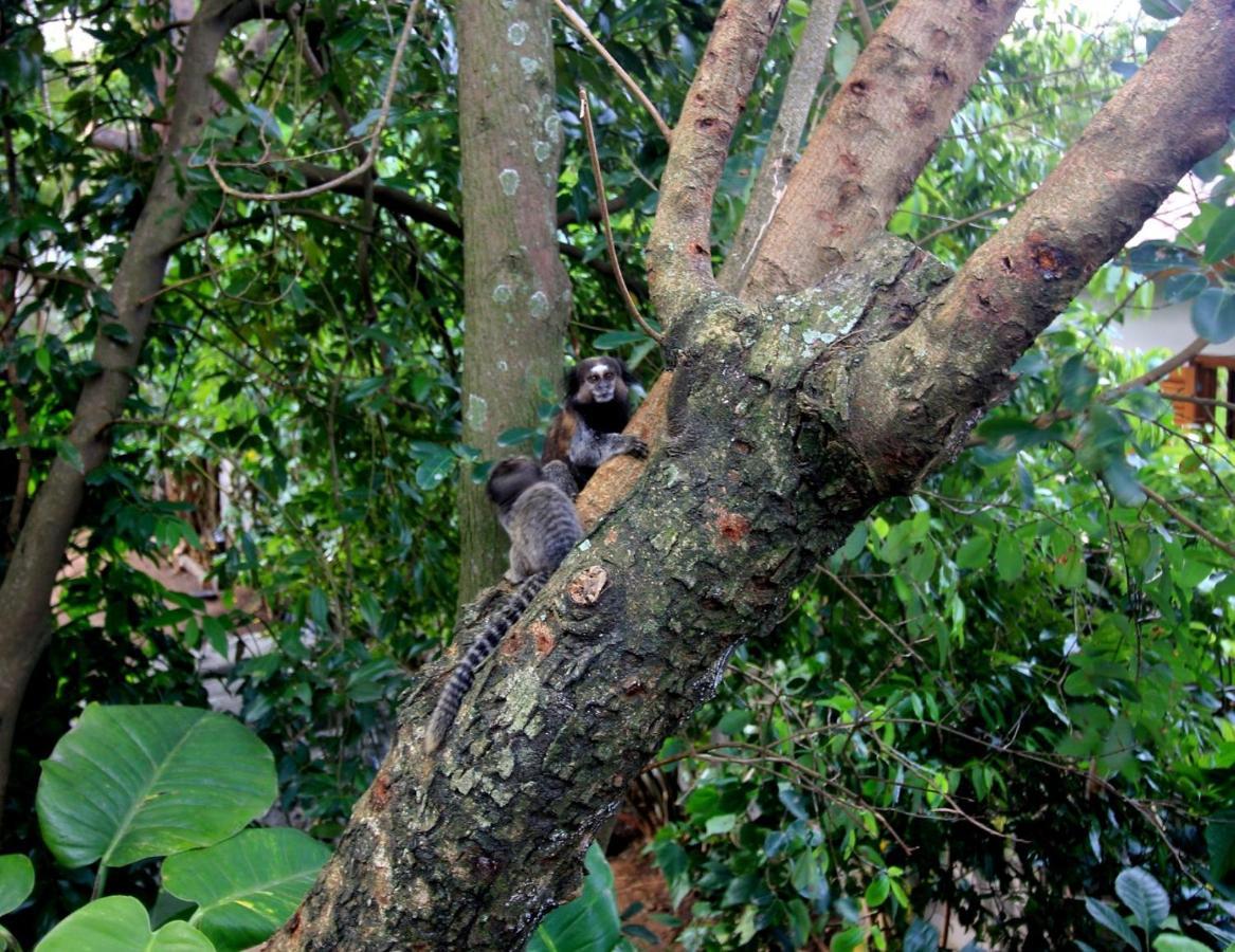 Chale Aloha Villa Florianópolis Eksteriør billede